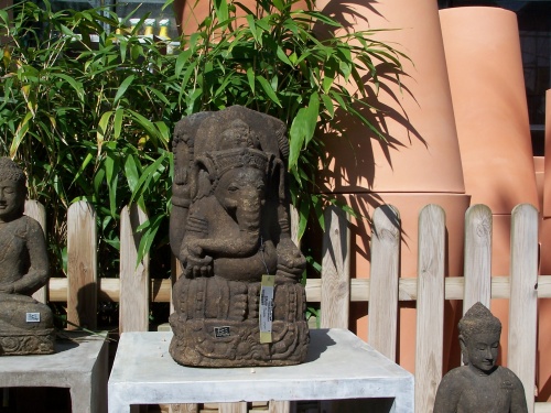 Bonsai Elefante - Natura Garden