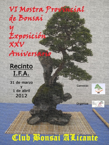 Cartel VI Mostra Provincial de Bonsai y Exposición XXV Aniversario