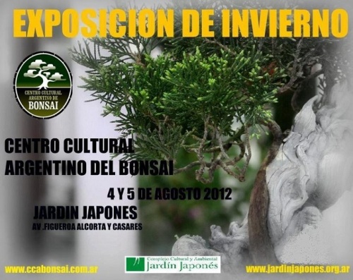 Bonsai Exposicion de Invierno - Argentina - eventos