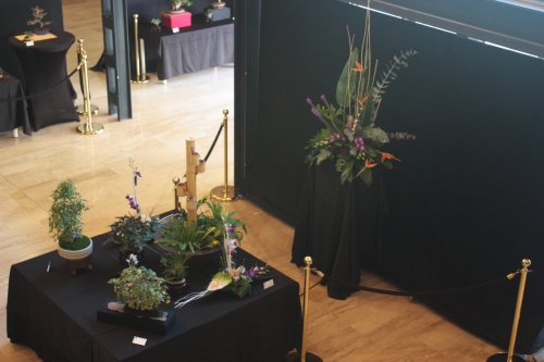 Bonsai Conjunto floral a la entrada de la Exposicion de Bonsai - Bonsai Oriol