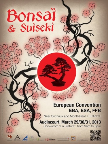 Bonsai EBA / ESA 2013 - Congreso Europeo de Bonsai - eventos