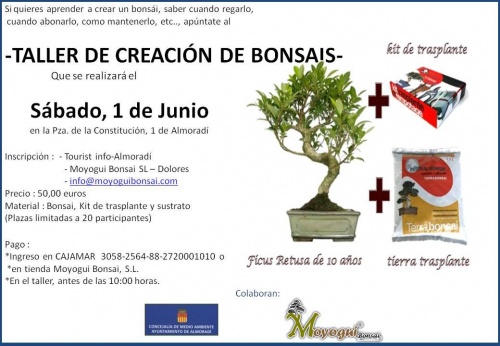 Bonsai Taller de Creación de Bonsáis y V Exposición Almoradí - eventos