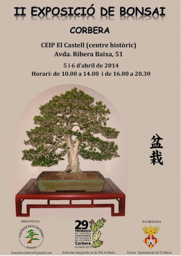 Bonsai 2ª Exposicion de Bonsai  en Corbera  (Valencia ) - eventos
