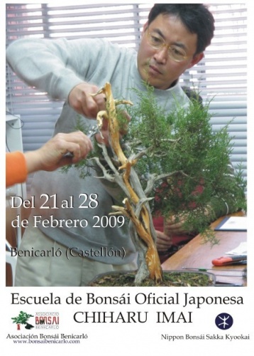 Bonsai Escuela Bonsai Chiharu Imai - eventos