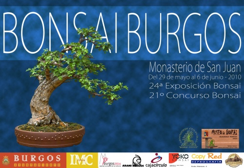 Cartel 24ª Exposicion y 21º Concurso de Bonsai - Bonsai Burgos 2010