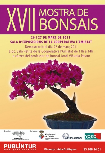 Bonsai XVII Mostra de Bonsais en Calella - Barcelona - eventos