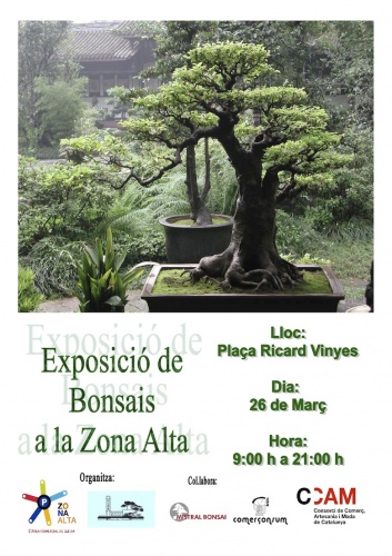 Bonsai Exposició de Bonsais a la Zona Alta - eventos
