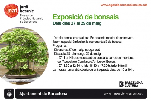 Cartel Exposició de bonsais - Jardí botànic Barcelona