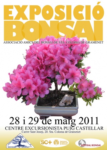 Bonsai Exposició Associació Sta Coloma de Gramenet - eventos