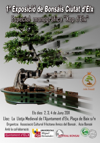 Bonsai 1ª Exposicion de Bonsais Elche - El Chopo Ilicitano - eventos